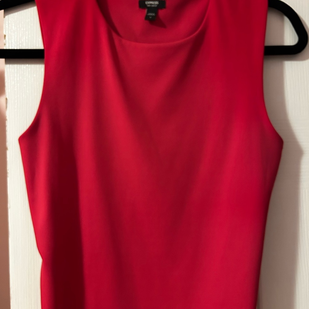 Express Fuchsia Sleeveless Bodysuit